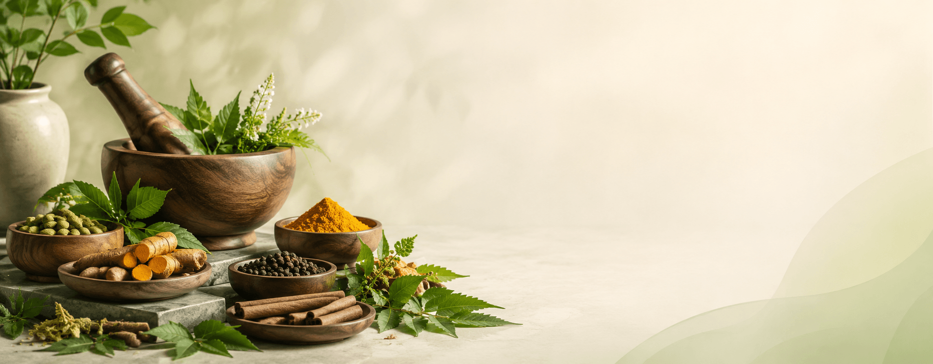 Organic Raw Herbs Online - Giloy, Neem Chhal, and Arjun Ki Chaal